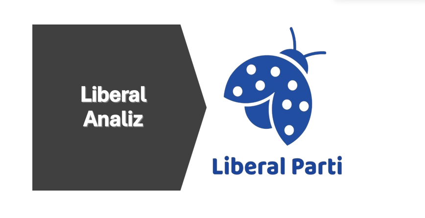 Liberal Analiz