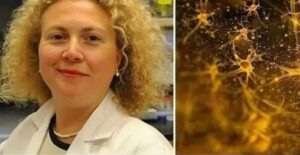 Türk Bilim İnsanı Doç Dr. Hande Özdinler, Ölü Beyin Hücrelerini Canlandırmayı Başardı