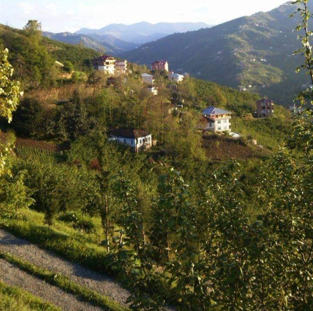 Beni Köyümün Yağmurlarında Yıkasınlar