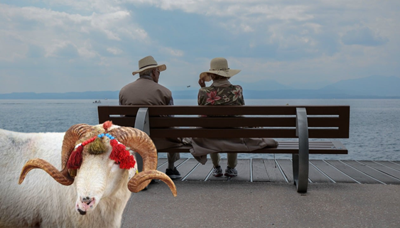 Emekli Memurlar Kurban Kesmekte Zorlanıyor: Maaşlar Yetersiz, Yardıma Muhtaçlar