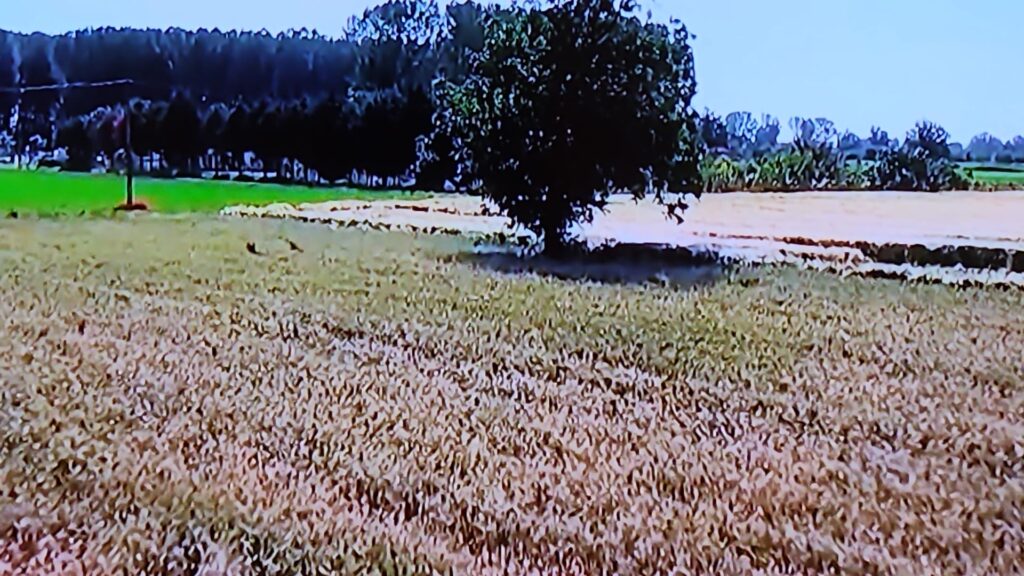 Tarım Politikalarında Kriz: İthalat 14 Milyar Dolara Ulaştı