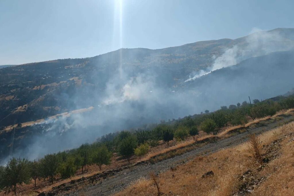 Malatya Pütürge’deki Orman Yangını 7 Saatlik Mücadele Sonunda Kontrol Altına Alındı