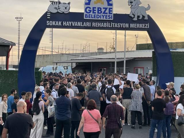 Kocaeli Valiliği, Gebze’deki Hayvan Rehabilitasyon Merkezi’nde Soruşturma Başlattı