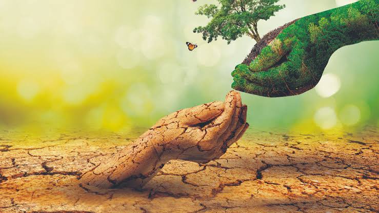 Kuraklığa Çözüm: Toz Su