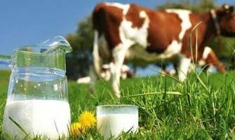 Ulusal Süt Konseyi, 1 Ocak’tan İtibaren Çiğ Süt Alım Fiyatını 17,15 TL Olarak Belirledi