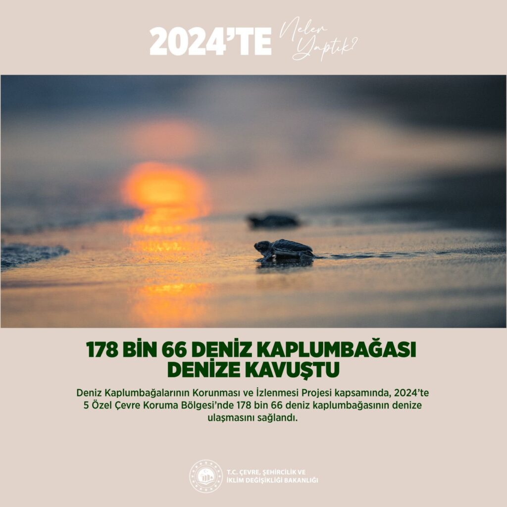 Çevre, Şehircilik ve İklim Değişikliği Bakanlığı, Deniz Kaplumbağalarının Yuvalarını Korudu