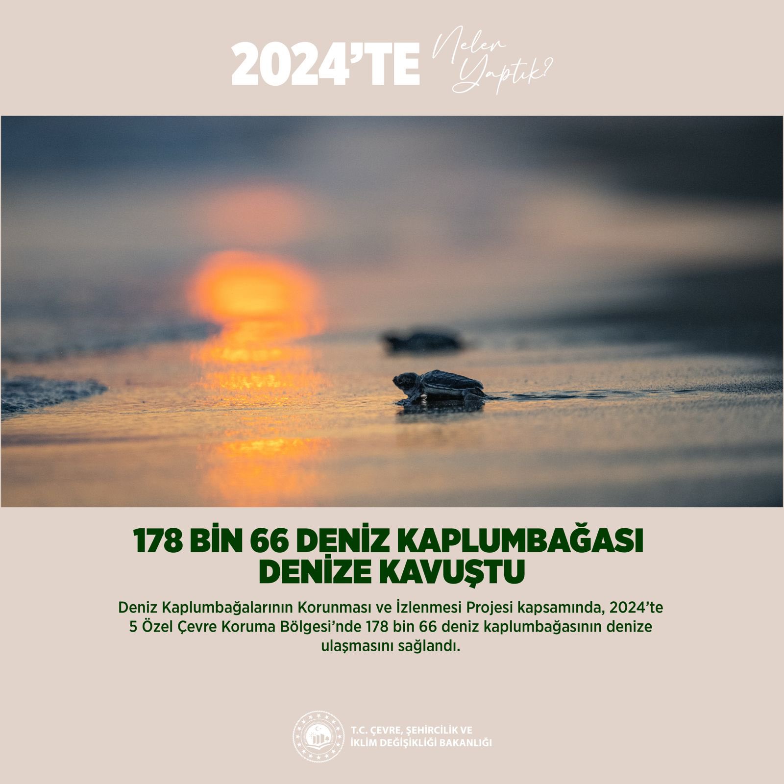 Çevre, Şehircilik ve İklim Değişikliği Bakanlığı, Deniz Kaplumbağalarının Yuvalarını Korudu