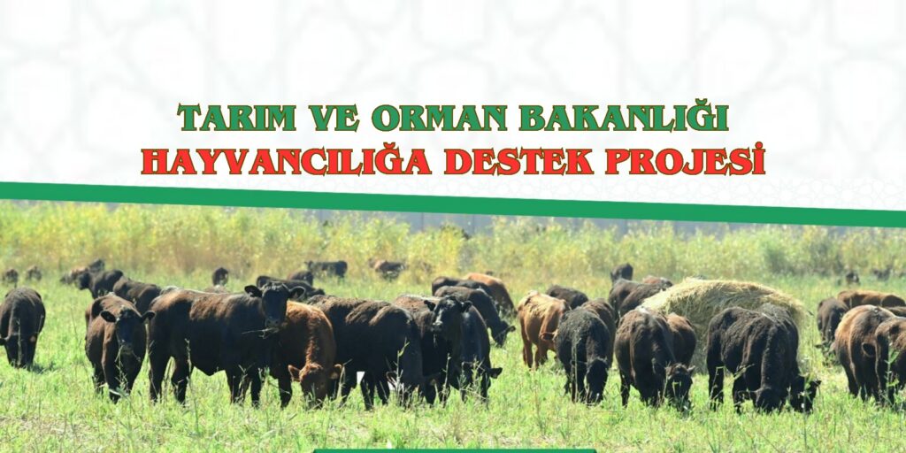 Kırsalda Bereket: Hayvancılığa Destek Projesi Başlıyor