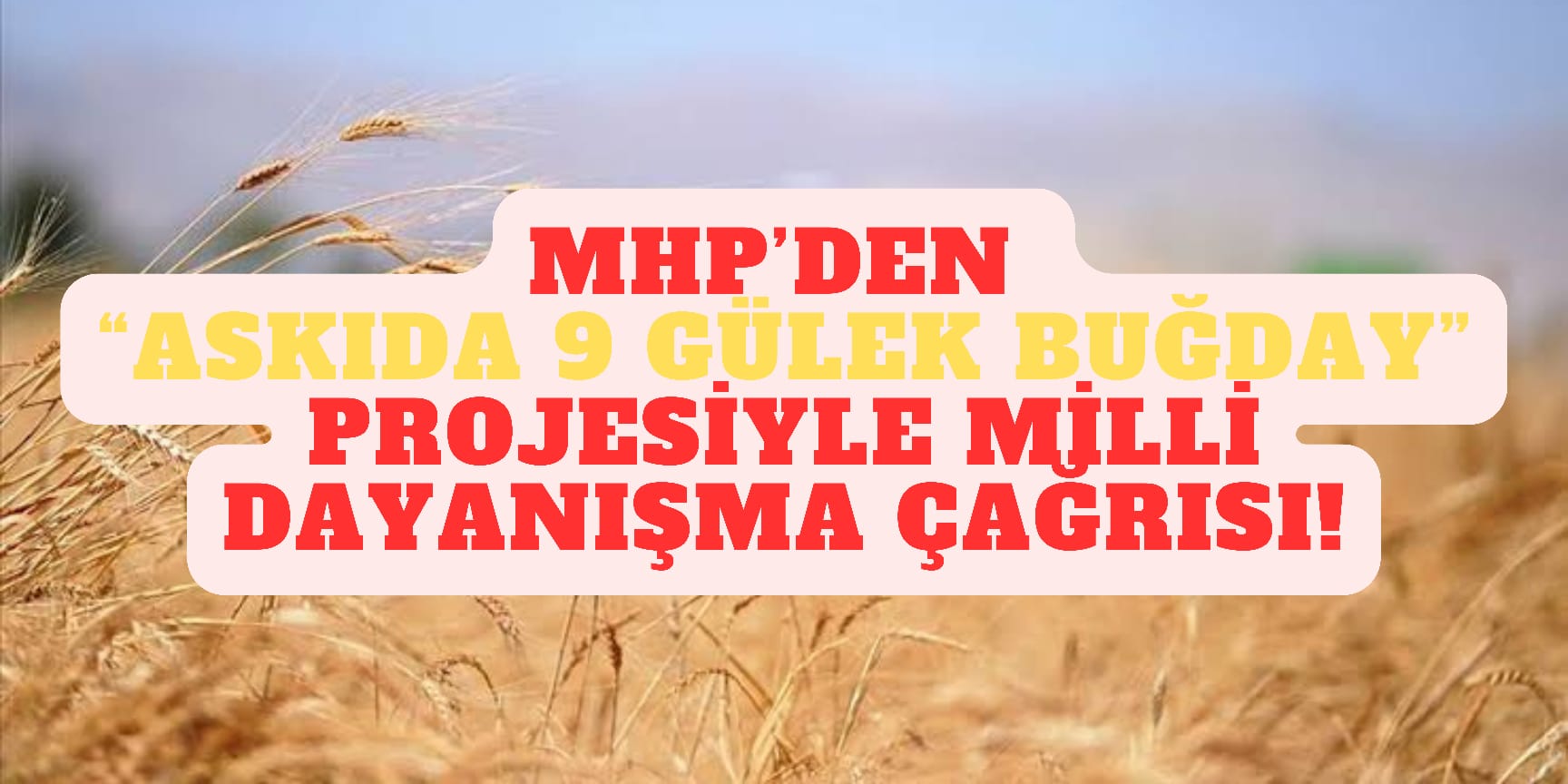 MHP’den “Askıda 9 Gülek Buğday” Projesiyle Milli Dayanışma Çağrısı!