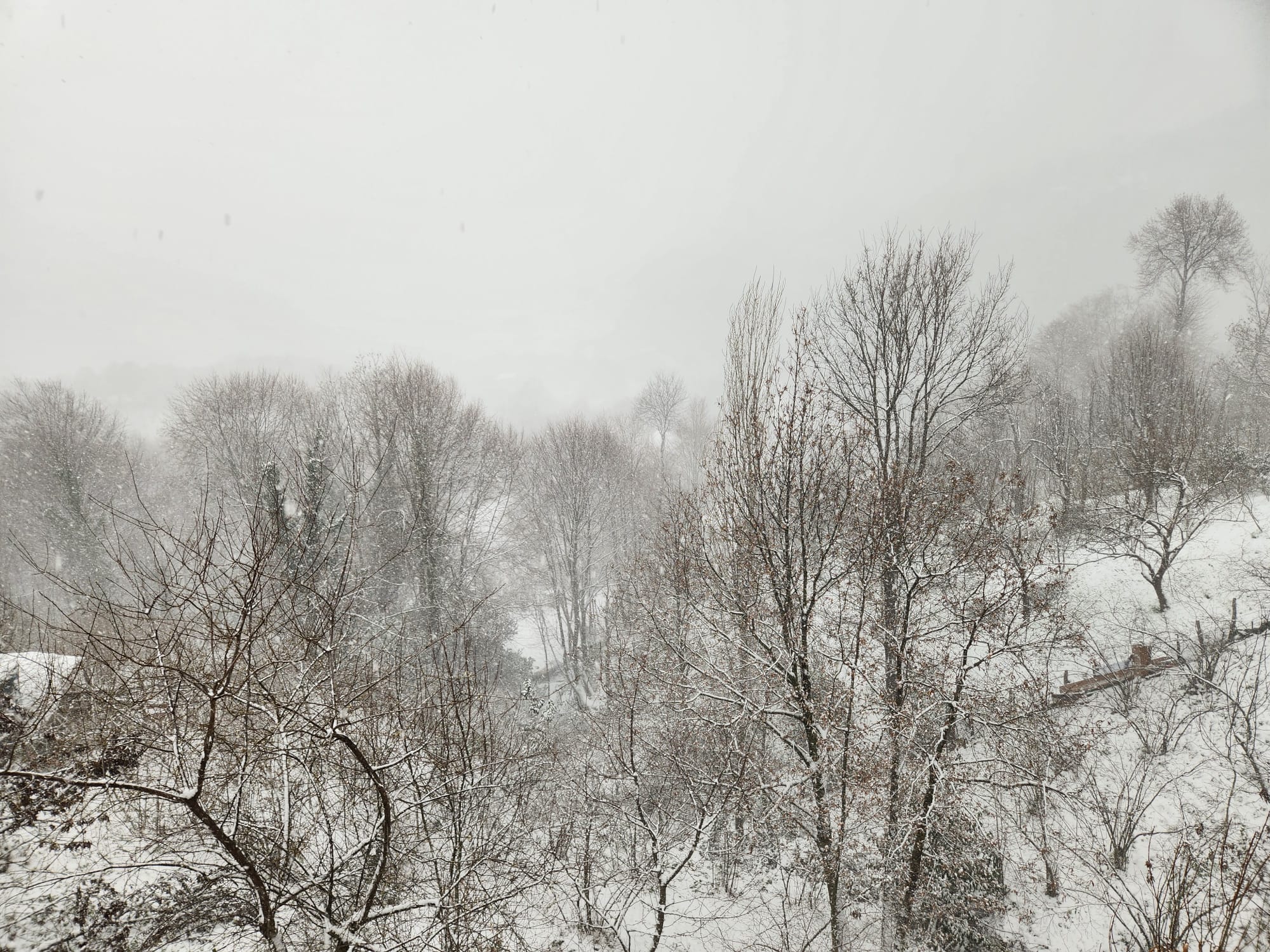 Zonguldak’ta Kar Yağışı Etkisini Artırdı, Yetkililer Uyardı