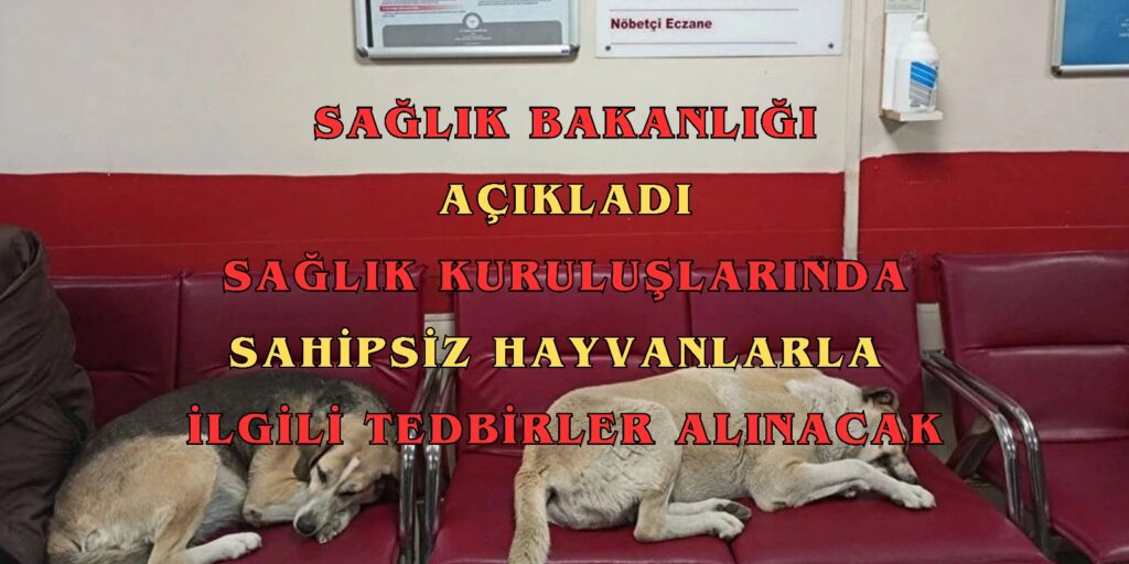 Sağlık Bakanlığı, Sağlık Kuruluşlarında Sahipsiz Hayvanlarla İlgili Tedbirler Alınacağını Duyurdu