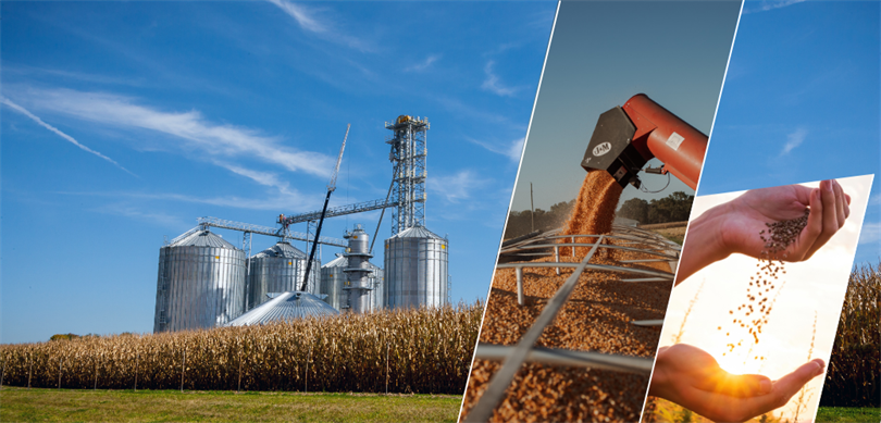 2.6 Milyar TL’lik Tarımsal Destekleme Ödemesi Çiftçilere Aktarılacak!