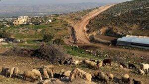 İsrail’in Batı Şeria’daki Kaçak Yerleşimleri Hızla Artıyor