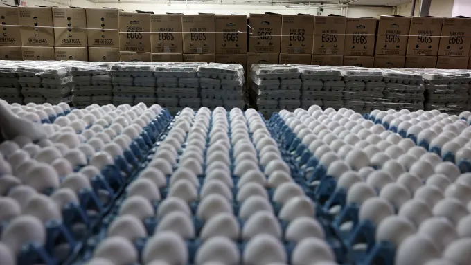 Yumurta Fiyatlarında Dalgalanma: ABD’de Düşüş, Türkiye’de Artış