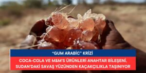 Gum Arabic Krizi: Sudan’daki Savaş, Tedarik Zincirini Etkiliyor