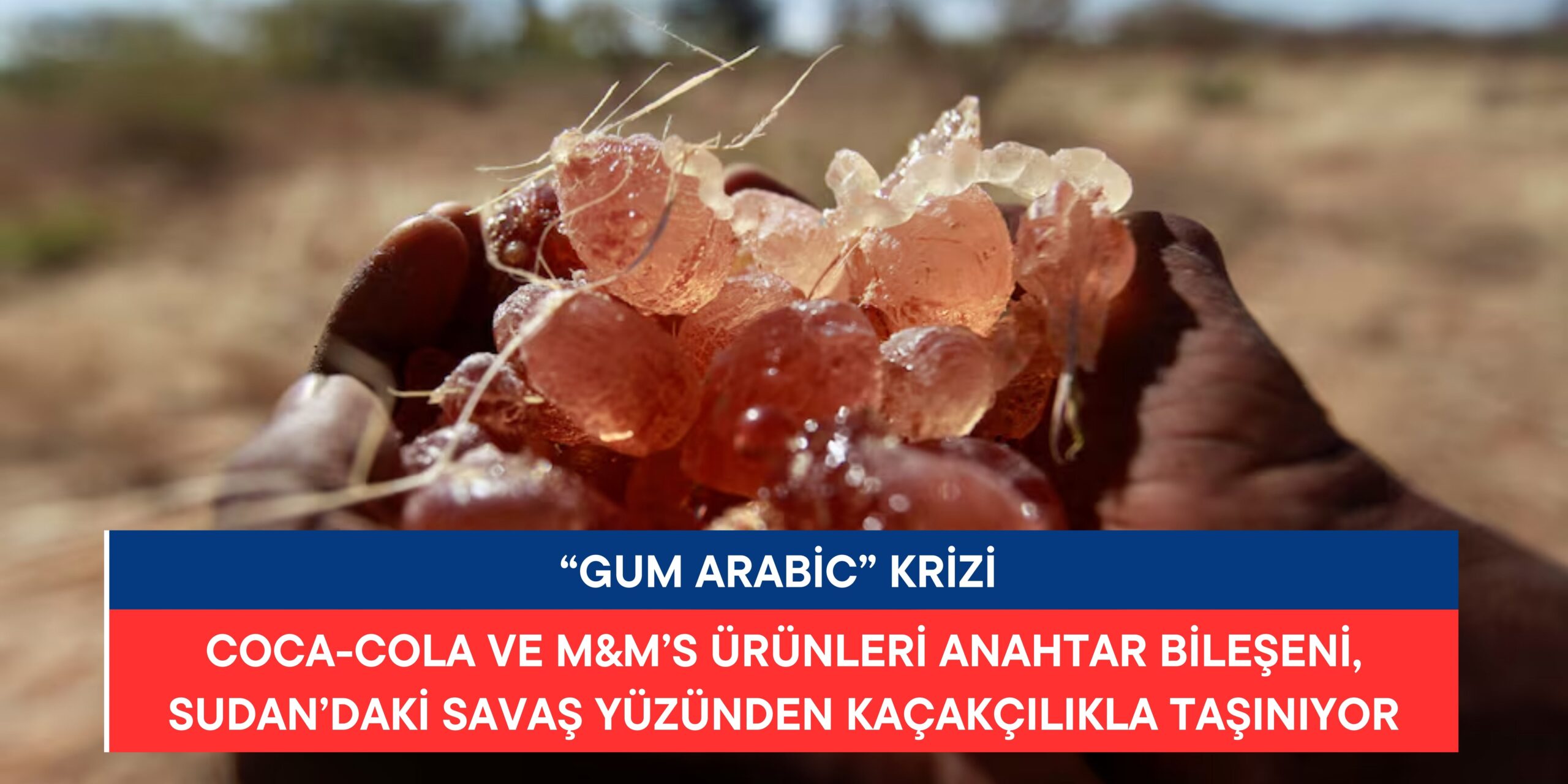 Gum Arabic Krizi: Sudan’daki Savaş, Tedarik Zincirini Etkiliyor