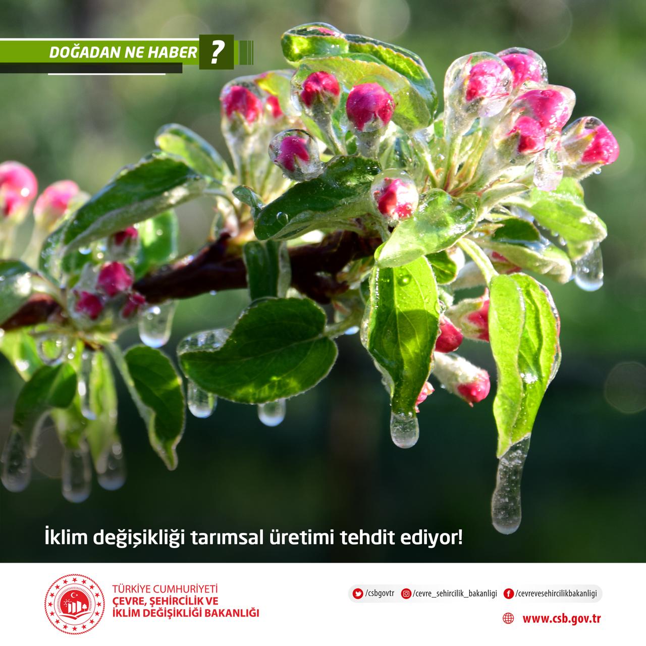 Bakanlıktan İklim Uyarısı: Tarım Tehdit Altında, Ancak Somut Önlem Hâlâ Yok!