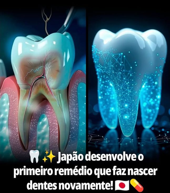 Diş İmplantlarına Veda Mı Geliyor? Japonya’dan Diş Yenileme Devrimi!