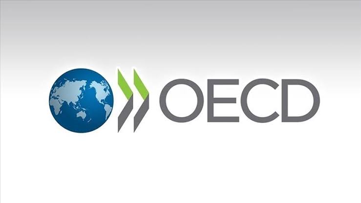 OECD: Türkiye Ekonomisi 2026’da Yüzde 3,9 Büyüyerek Potansiyeline Ulaşacak