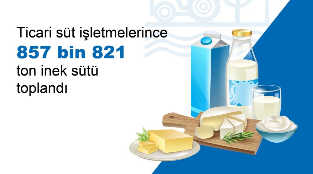 TÜİK Verileri: Şubat 2025’te Süt ve Süt Ürünleri Üretiminde Düşüş ve Artışlar