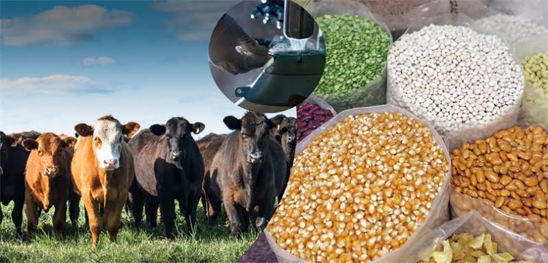 Tarım ve Orman Bakanı Yumaklı: 3,3 Milyar TL Tarımsal Destekleme Ödemesi Çiftçilerin Hesaplarına Aktarılıyor