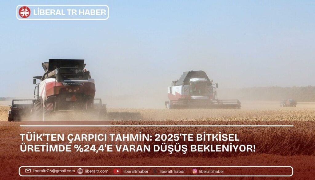 TÜİK’ten Çarpıcı Tahmin: 2025’te Bitkisel Üretimde %24,4’e Varan Düşüş Bekleniyor!