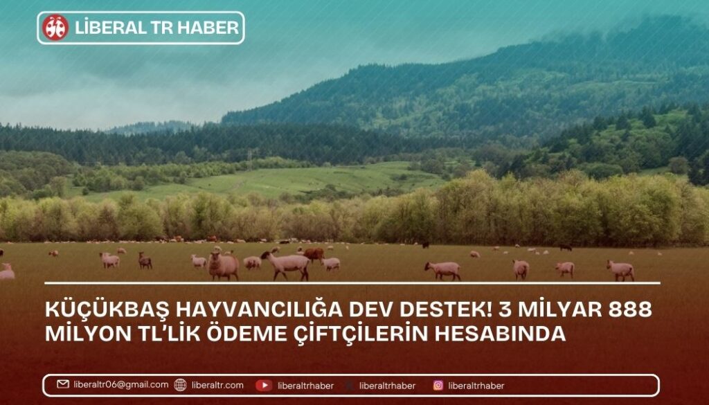 Küçükbaş Hayvancılığa Dev Destek! 3 Milyar 888 Milyon TL’lik Ödeme Çiftçilerin Hesabında