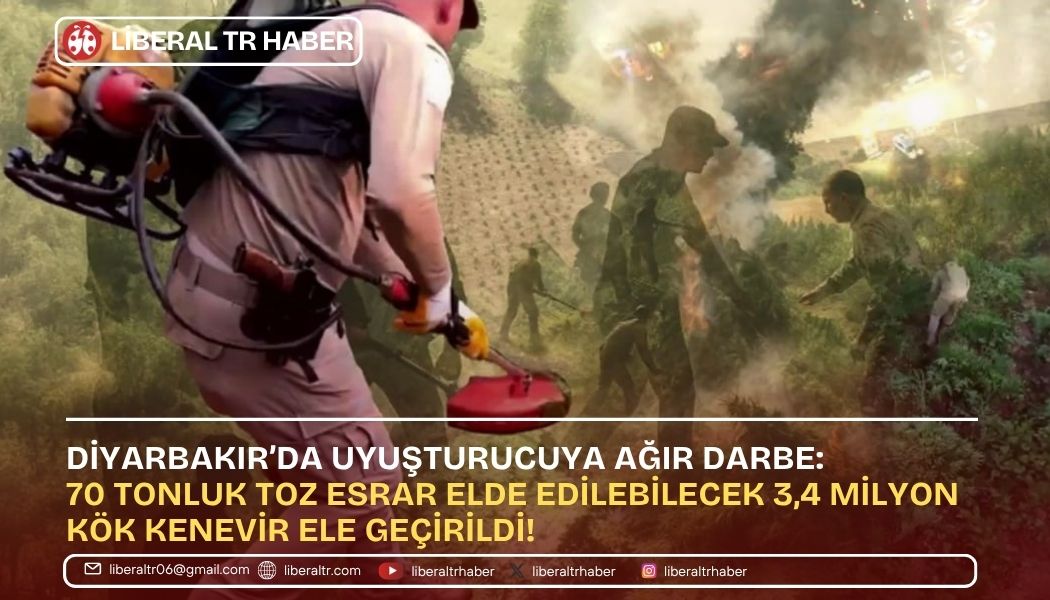 Diyarbakır’da Uyuşturucuya Ağır Darbe: 70 Tonluk Toz Esrar Elde Edilebilecek 3,4 Milyon Kök Kenevir Ele Geçirildi!