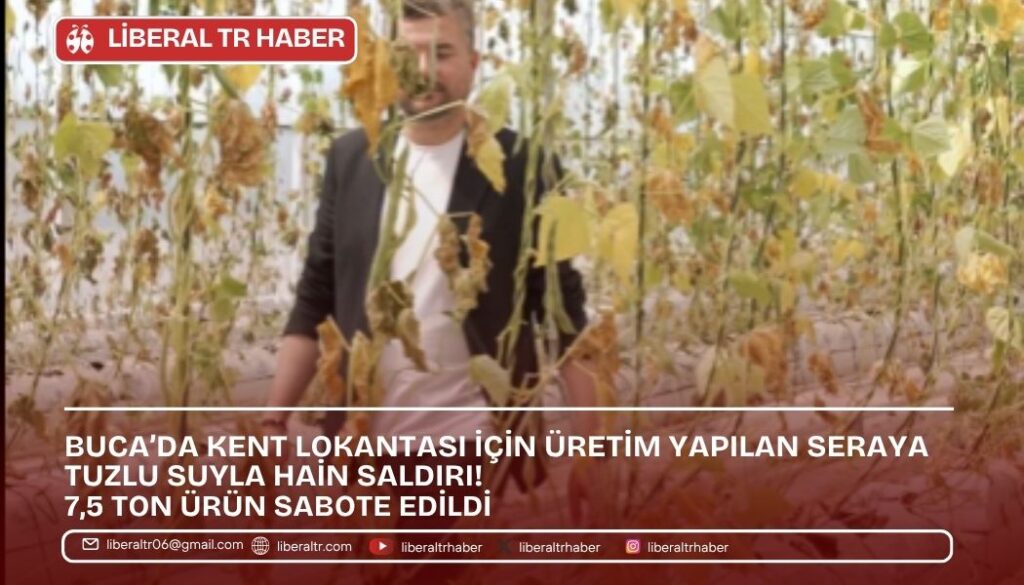 Buca’da Seraya Hain Saldırı! 7,5 Ton Ürün Sabote Edildi
