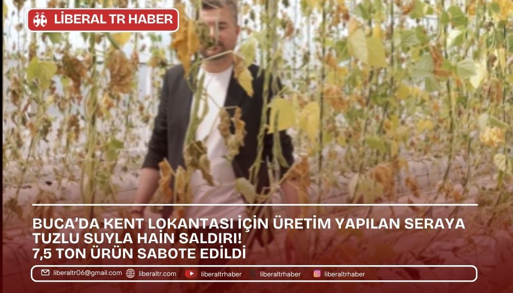Buca’da Seraya Hain Saldırı! 7,5 Ton Ürün Sabote Edildi