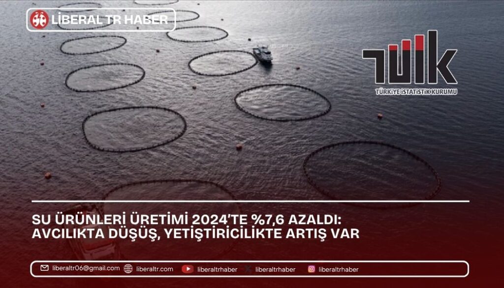 Su Ürünleri Üretimi 2024’te Yüzde 7,6 Azaldı: Avcılıkta Düşüş, Yetiştiricilikte Artış Var