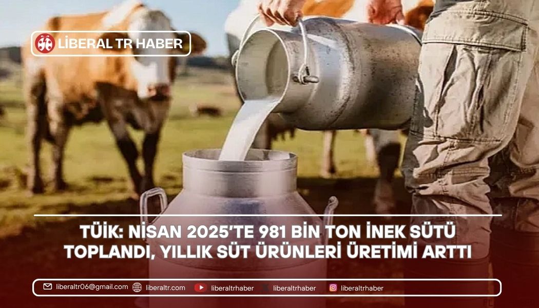 TÜİK: Nisan 2025’te 981 Bin Ton İnek Sütü Toplandı, Süt Ürünleri Üretimi Yıllık Bazda Arttı