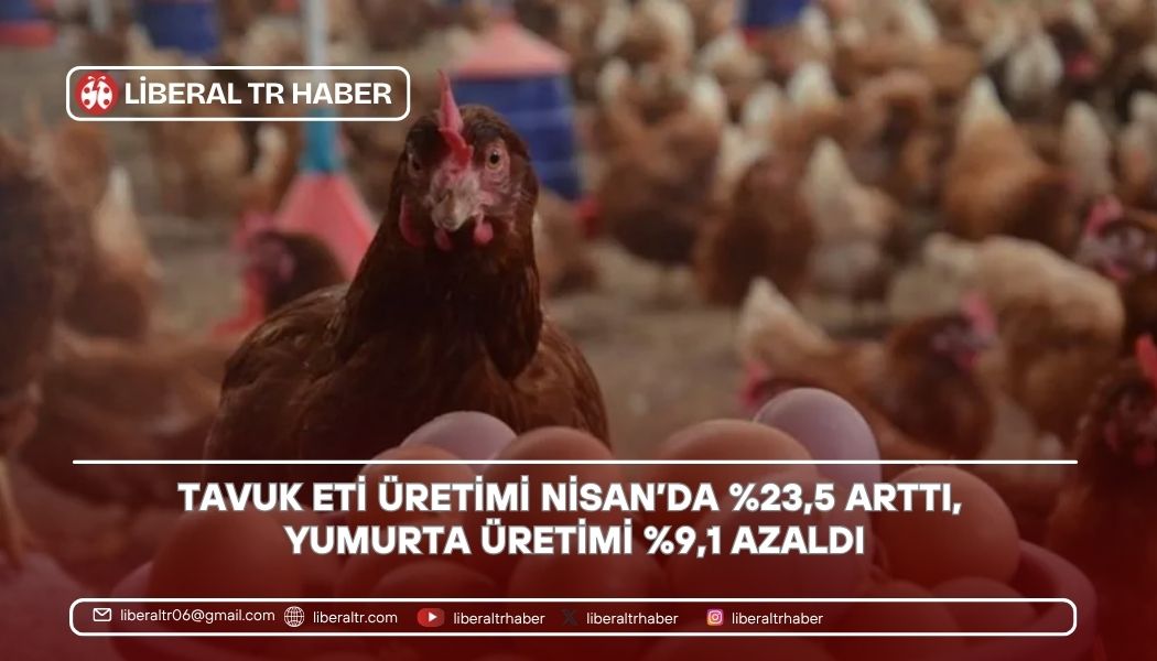 Tavuk Eti Üretimi Nisan’da Yüzde 23,5 Arttı, Yumurta Üretimi Yüzde 9,1 Azaldı