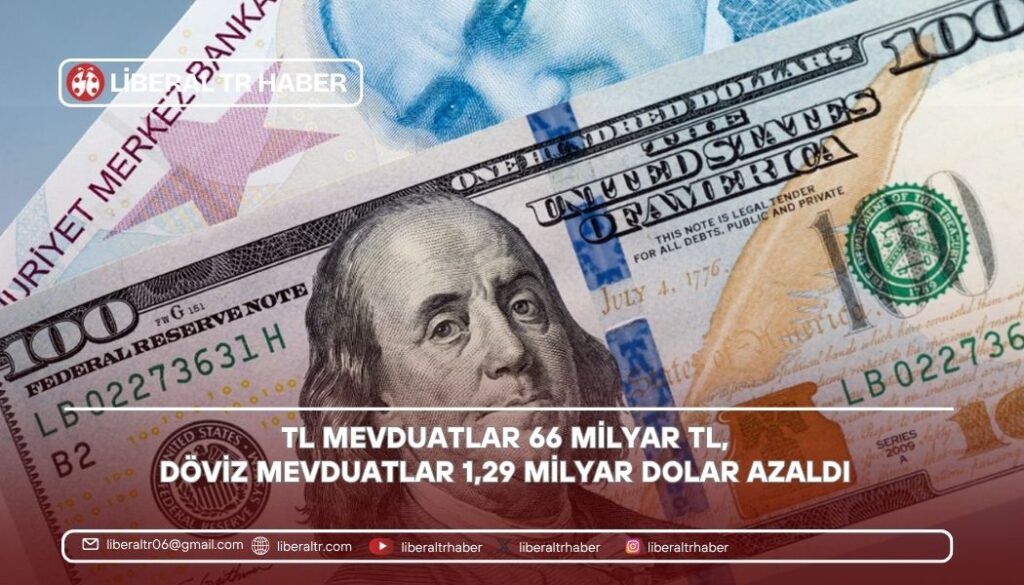 TL Mevduatlar 66 Milyar TL, Döviz Mevduatlar 1,29 Milyar Dolar Azaldı