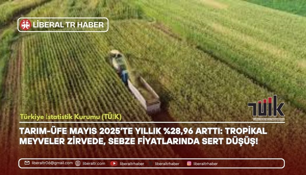 Tarım-ÜFE Mayıs 2025’te Yıllık %28,96 Arttı: Tropikal Meyveler Zirvede, Sebze Fiyatlarında Sert Düşüş!
