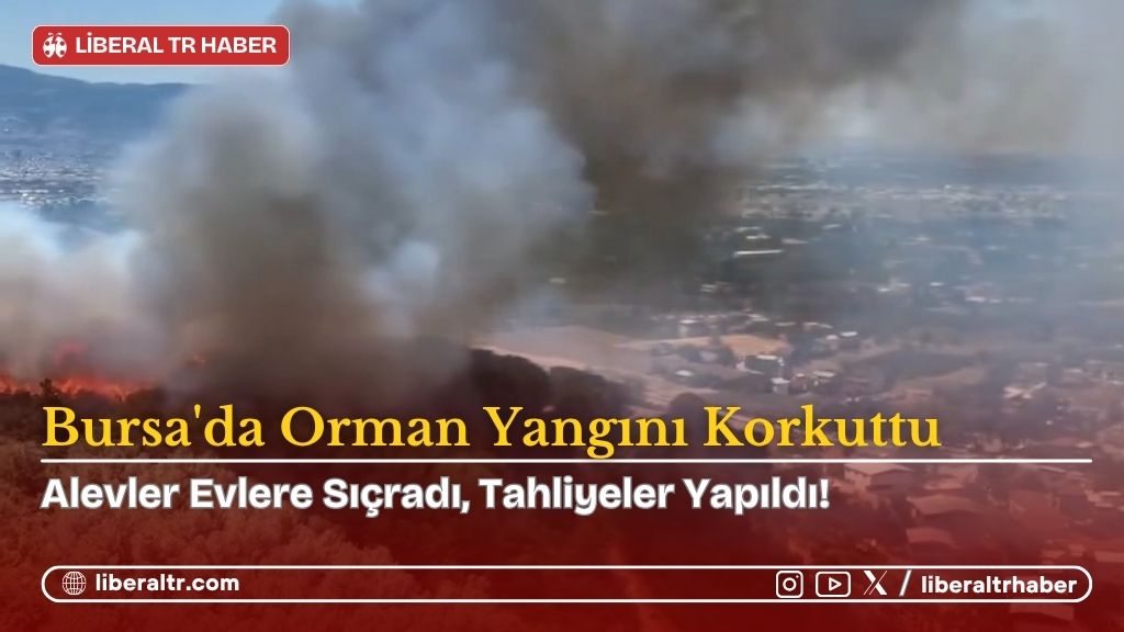 Bursa’da Orman Yangını Korkuttu: Alevler Evlere Sıçradı, Tahliyeler Yapıldı!