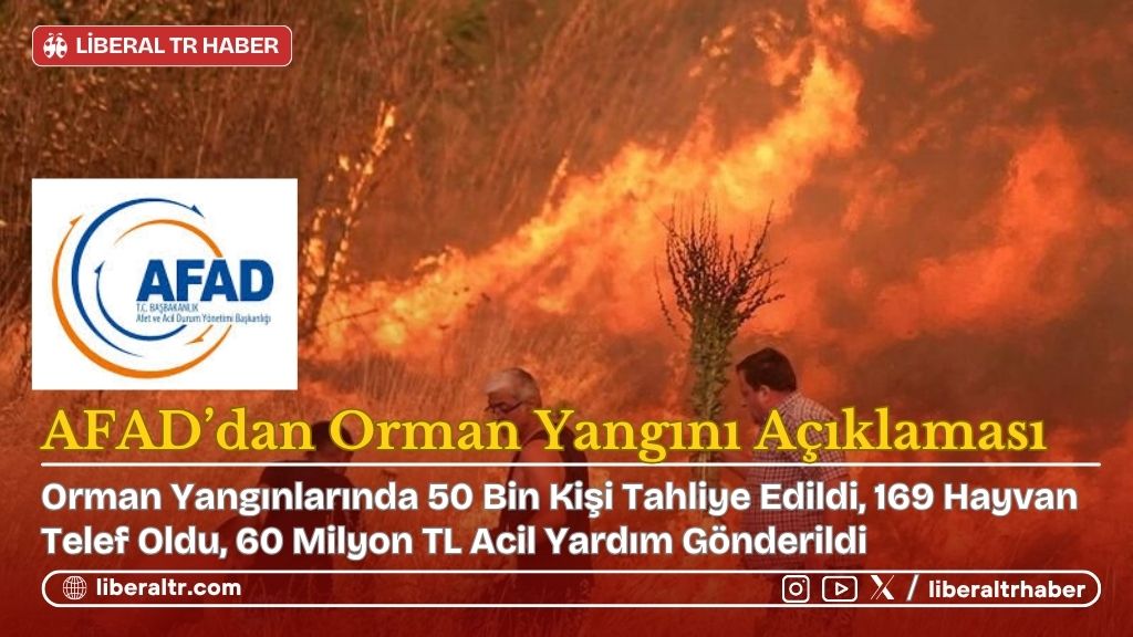 AFAD: 162 Küçükbaş, 7 Büyükbaş, Toplam 169 Hayvan Telef Oldu