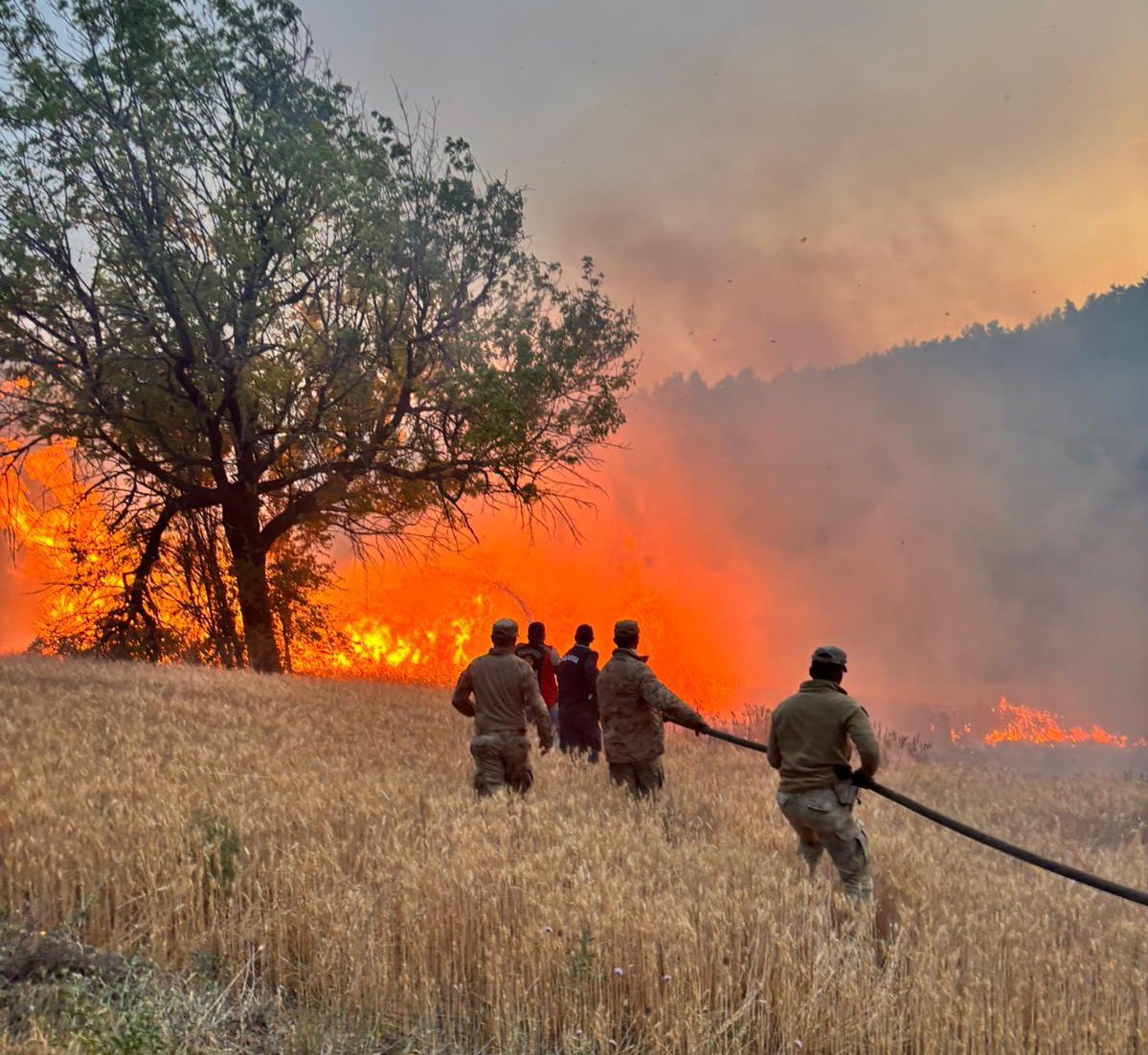 61 Orman Yangınında 23 Gözaltı, 4 Tutuklama