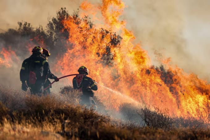 İzmir ve Bilecik’te Orman Yangınları Felaketi! 415 Ev ve İş Yeri Küle Döndü