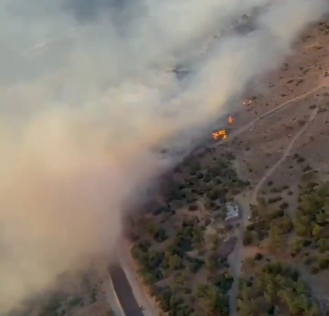 Şarköy’deki Orman Yangını Çanakkale Gelibolu’ya Sıçradı: Tahliyeler Başladı, 21 Hava Aracıyla Müdahale Sürüyor