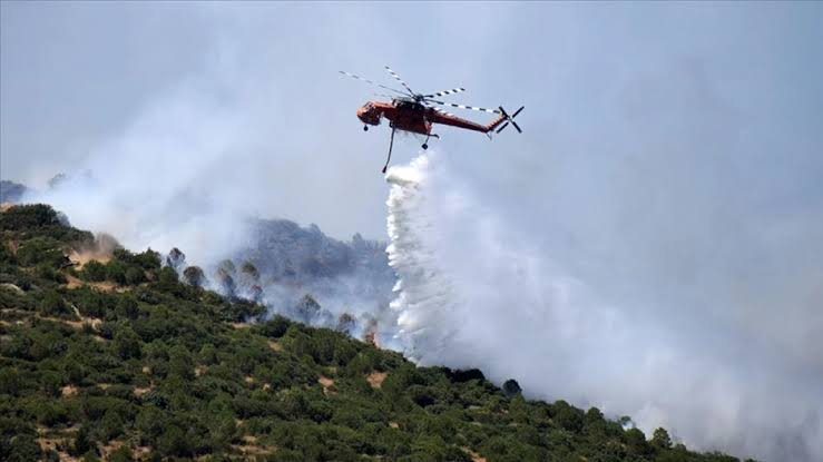 Ödemiş ve Buca’daki Orman Yangınları Kontrol Altına Alındı: Soğutma Çalışmaları Devam Ediyor