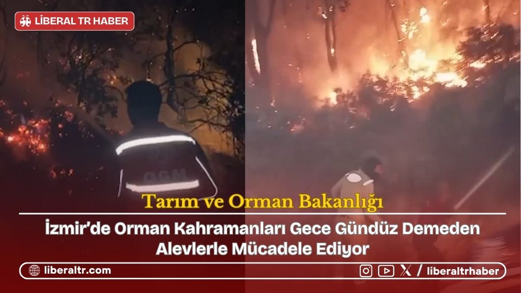 Tarım ve Orman Bakanlığı: “Yeşil Vatan İçin Canla Başla Sahadayız”