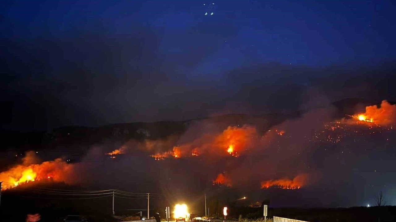Sakarya’da Korkutan Yangın: Rüzgarın Etkisiyle Evlere Sıçradı, Mahalleler Tahliye Edildi!