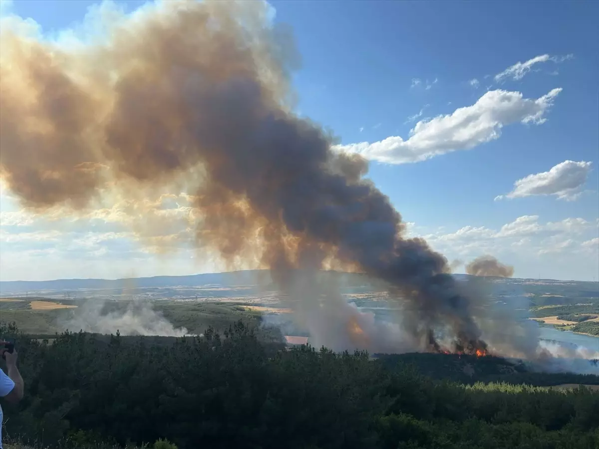 Tekirdağ Şarköy’de Anız Yangını Ormana Sıçradı: Evler Tahliye Edildi, Müdahale Havadan ve Karadan Sürüyor!