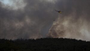 Türkiye Alev Alev: Sakarya, Bilecik, Karabük ve İzmir’de Orman Yangınlarına Karşı Zorlu Mücadele!