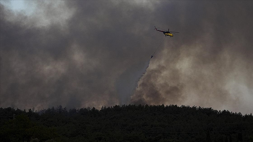 Türkiye Alev Alev: Sakarya, Bilecik, Karabük ve İzmir’de Orman Yangınlarına Karşı Zorlu Mücadele!
