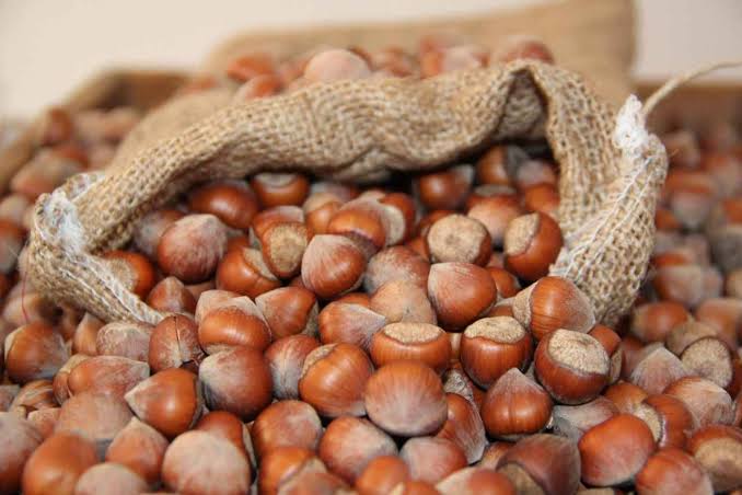 FİSKOBİRLİK Fındık Alım Fiyatlarını Güncelledi: Giresun Kalite Kilogramı 274 TL’ye Kadar Yükseldi