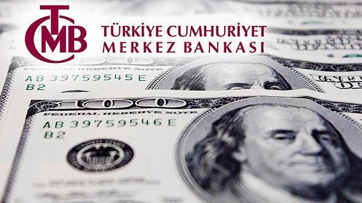 TCMB Verileri: Firmaların Net Döviz Pozisyonu Haziran’da -185,8 Milyar Dolar Oldu