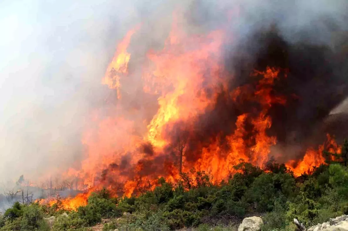🔥 Bursa’da Orman Yangını Kontrol Altına Alınmaya Çalışılıyor: 351 Personel Müdahale Ediyor