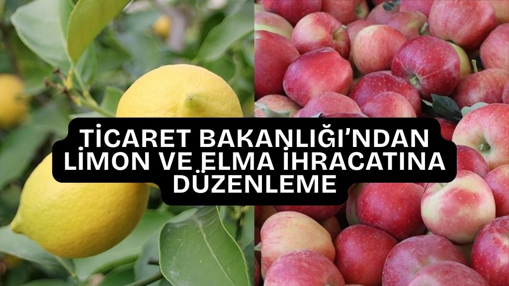 Ticaret Bakanlığı’ndan Limon ve Elma İhracatına Düzenleme